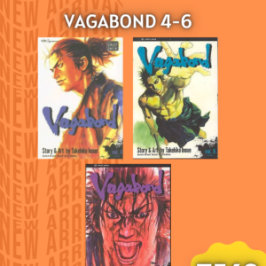 VAGABOND 4-6
